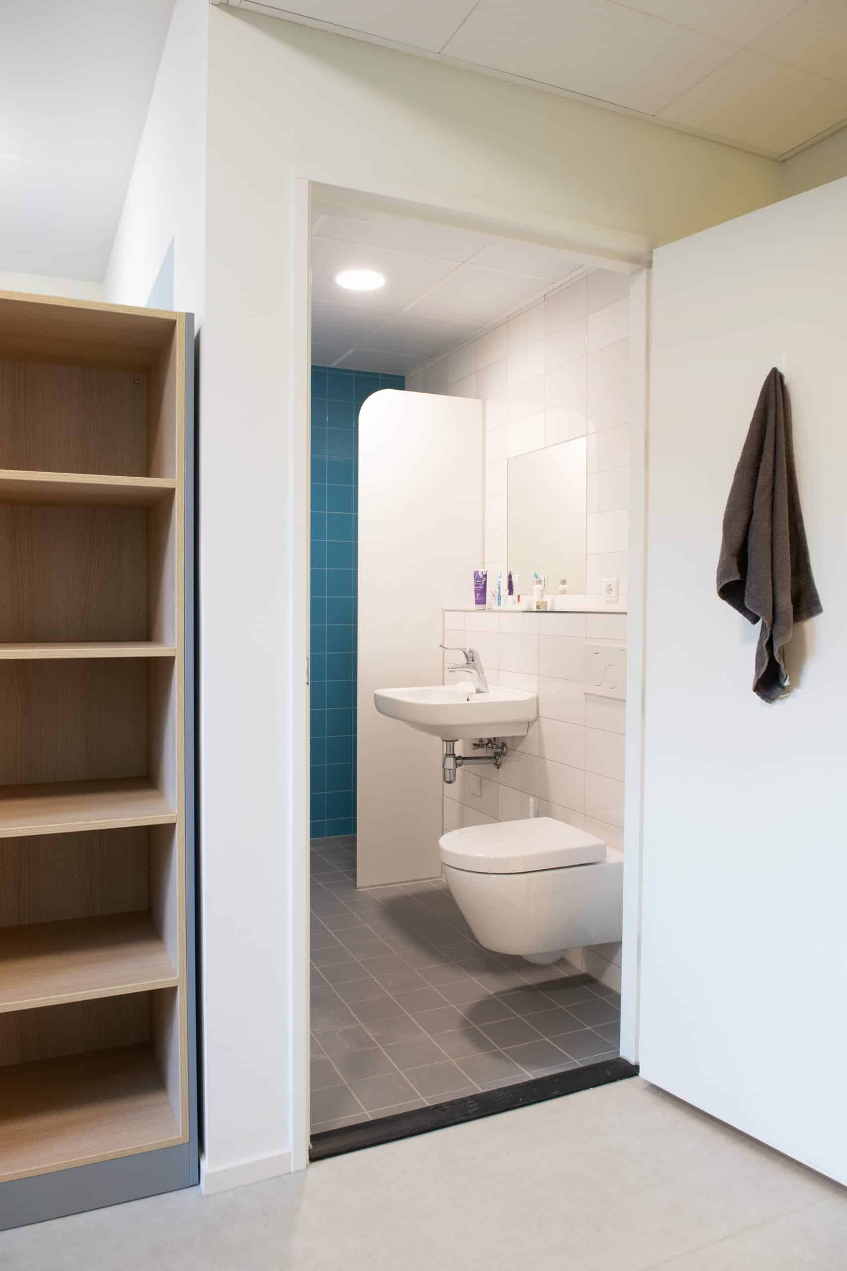 Sanitaire ruimte met toilet en wastafel